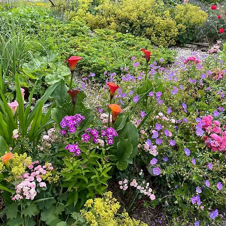 شقة Reethaus - Goor