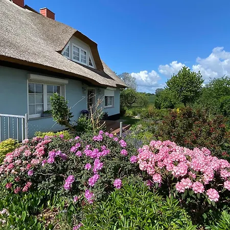 Reethaus - Goor Vilmnitz