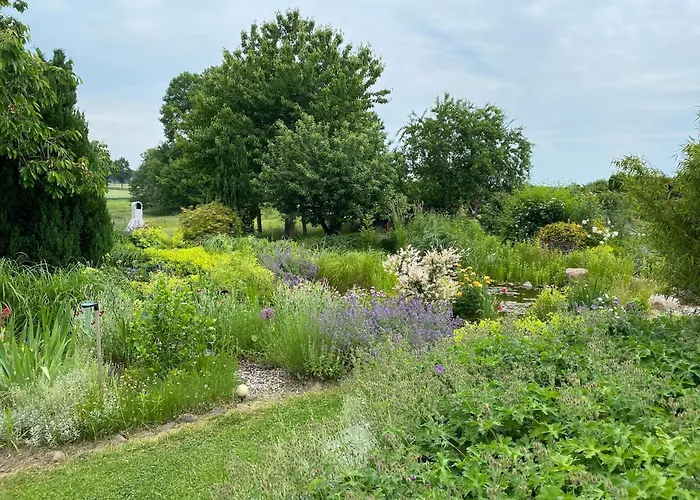 Apartamento Reethaus - Goor Vilmnitz