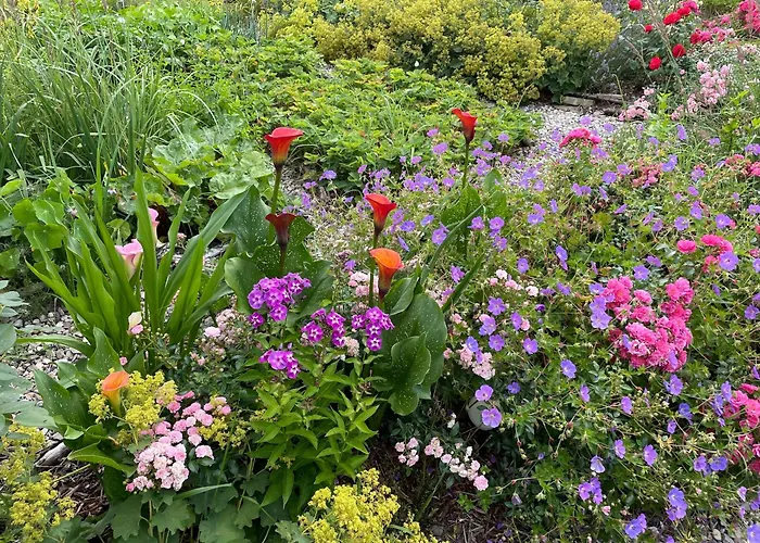 Apartamento Reethaus - Goor